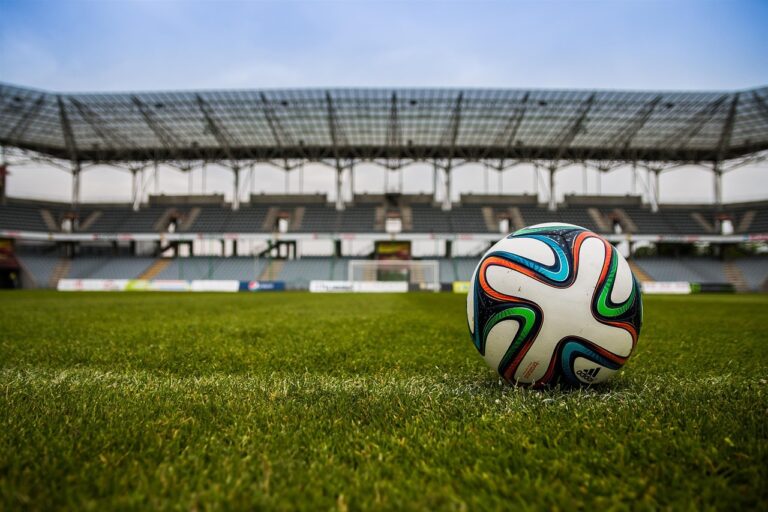 Soccer ball on grass