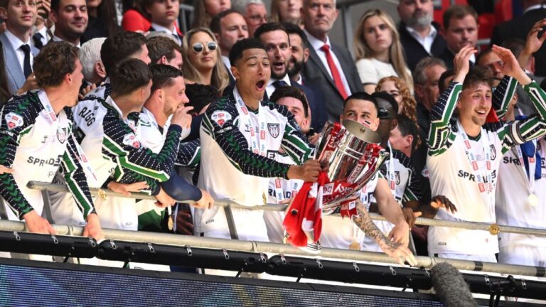 Congratulations, you've been promoted to the Premier League! Now what?