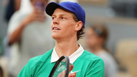 Superstars Sinner and Alcaraz set for 'special' French Open final